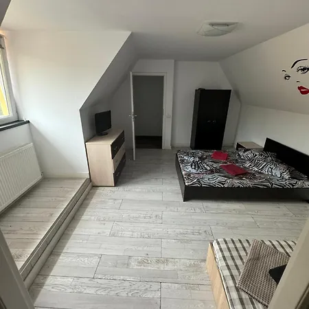 De Inchiriat Lucky House Apartment *