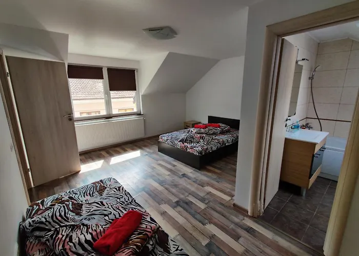 De Inchiriat Lucky House * Braşov