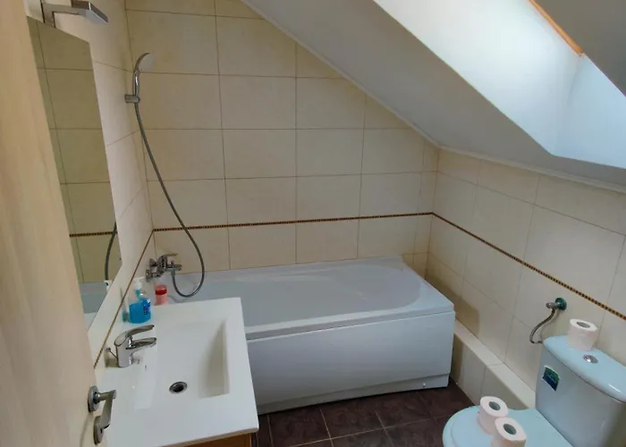 De Inchiriat Lucky House *